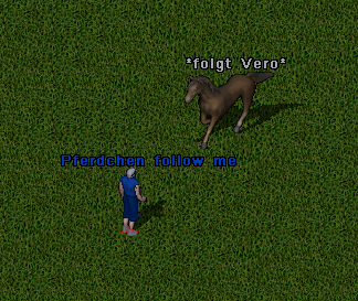 Das Reittier folgt Vero.